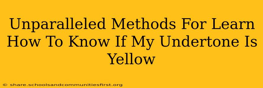 Unparalleled Methods For Learn How To Know If My Undertone Is Yellow